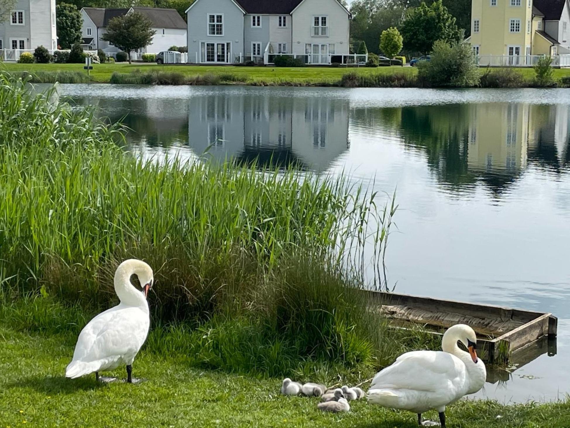 Nyhavn Lakeside Cottage Cirencester Buitenkant foto